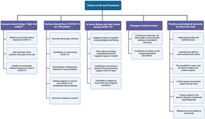 Challenges to dialysis treatment during the COVID-19 pandemic: a qualitative study of patients’ and experts’ perspectives